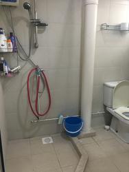 Blk 460 Ang Mo Kio Avenue 10 (Ang Mo Kio), HDB 5 Rooms #153502572